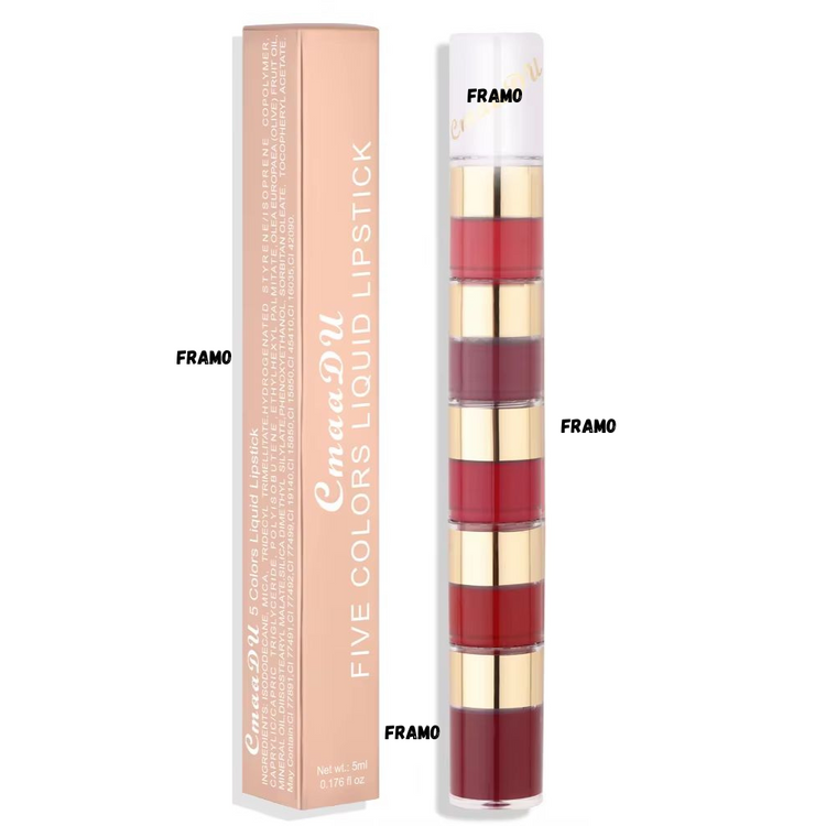 Rouge à lèvre 5 en 1